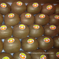 Export Fresh Delicious Kiwi Fruits (25, 27, 30, 33, 36, 39)